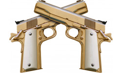 guns - 15x10.5cm - Autocollant(sticker)